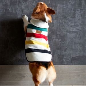 Pendleton glacier dog coat collection new xs new without tags